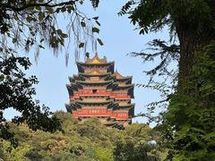 -阅江楼风景区