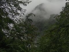 -青峰峡国家森林公园