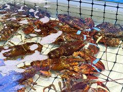 -大锅强·蒸海鲜青岛菜(金沙滩店)