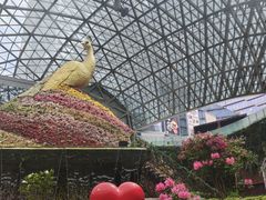 -花之城
