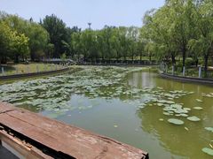 -廊坊市自然公园