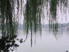 -望湖公园