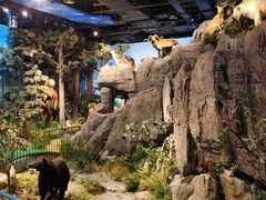 -陕西自然博物馆