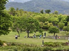 -牛岗山公园