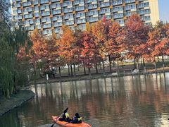 -上海浦江郊野公园-2号停车场