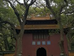 -普陀山风景名胜区-法雨禅寺