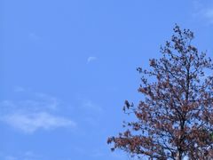 -木兰云雾山