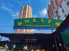 招牌-曲阳花鸟市场(曲阳路店)