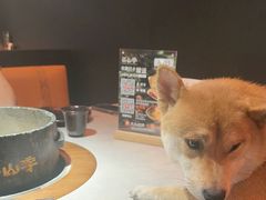 -芸山季·云南山珍菌火锅(人民广场来福士店)