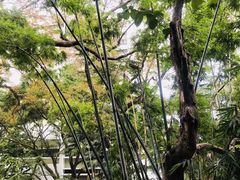 -香港大学