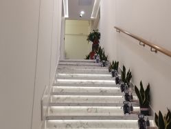 -海涛医疗美容·面部抗衰·注射美鼻