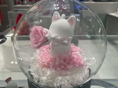 -ROSEONLY诺誓(国际广场购物中心店)