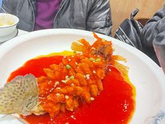 -丁老爷子苏香圆