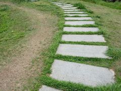 -白鹭湾湿地公园