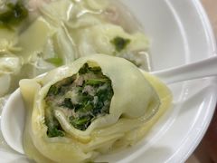 菜鲜肉大馄饨-小胖子馄饨店(洪兴路店)