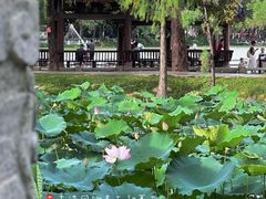 -阿妹小海鲜(下角店)