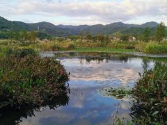 -东钱湖旅游度假区