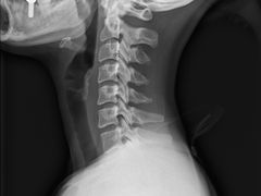 -名流健康高端体检中心·名宾门诊·健康管理