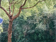 -宁波五龙潭景区