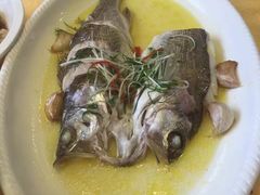 清蒸野生大鲈鱼-南湖船菜大酒店
