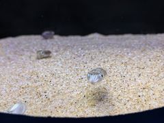 -欢乐海岸海洋奇梦馆