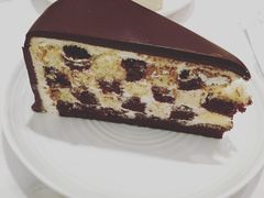 -Lady M(沙田新城市广场店)