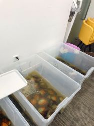 点击看大图 -邵老师打金·黄金加工(大望路总店)