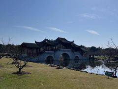 -上海海湾国家森林公园