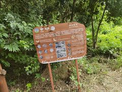 -华侨城湿地公园