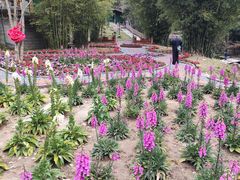 -千泷沟大瀑布旅游区