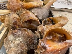 盐烤海螺-白仁仔· 活烤海鲜 宵夜(豫园店)