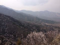 -北京鹫峰国家森林公园