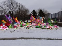 -沈阳奥体冰雪嘉年华
