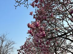 -南京信息职业技术学院