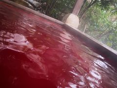 -天目湖涵田半山温泉