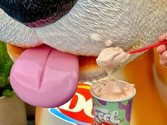 -DQ·蛋糕·冰淇淋(五角场万达店)