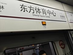 -东方体育中心(地铁站)