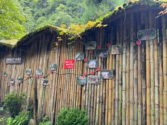 -西岭雪山大飞水景区