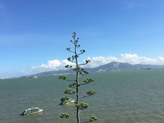 -胡里山炮台