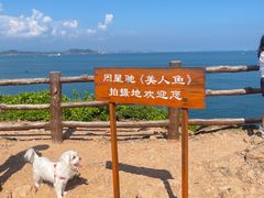 -杨梅坑