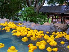 -湖泉半山温泉