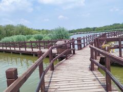 -西青郊野公园