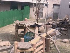 -沈阳森林动物园