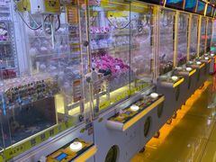 -风云再起游乐汇(北京西单西西友谊店)