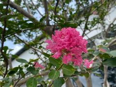 -粥旺庄(芳村店)