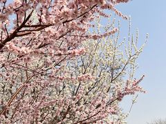 -元大都城垣遗址公园