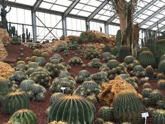 -南通洲际绿博园