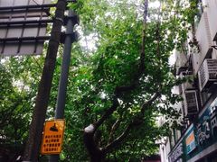 -苹果手机电脑维修回收(胶州路店)