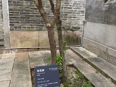 -碧江金楼