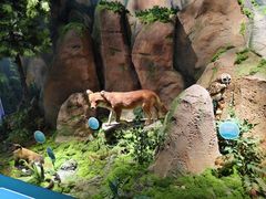 -湖南省地质博物馆